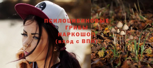 дживик Алексеевка