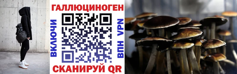 Галлюциногенные грибы Psilocybine cubensis  купить наркотик  Лодейное Поле 